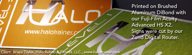 Halo Trainer